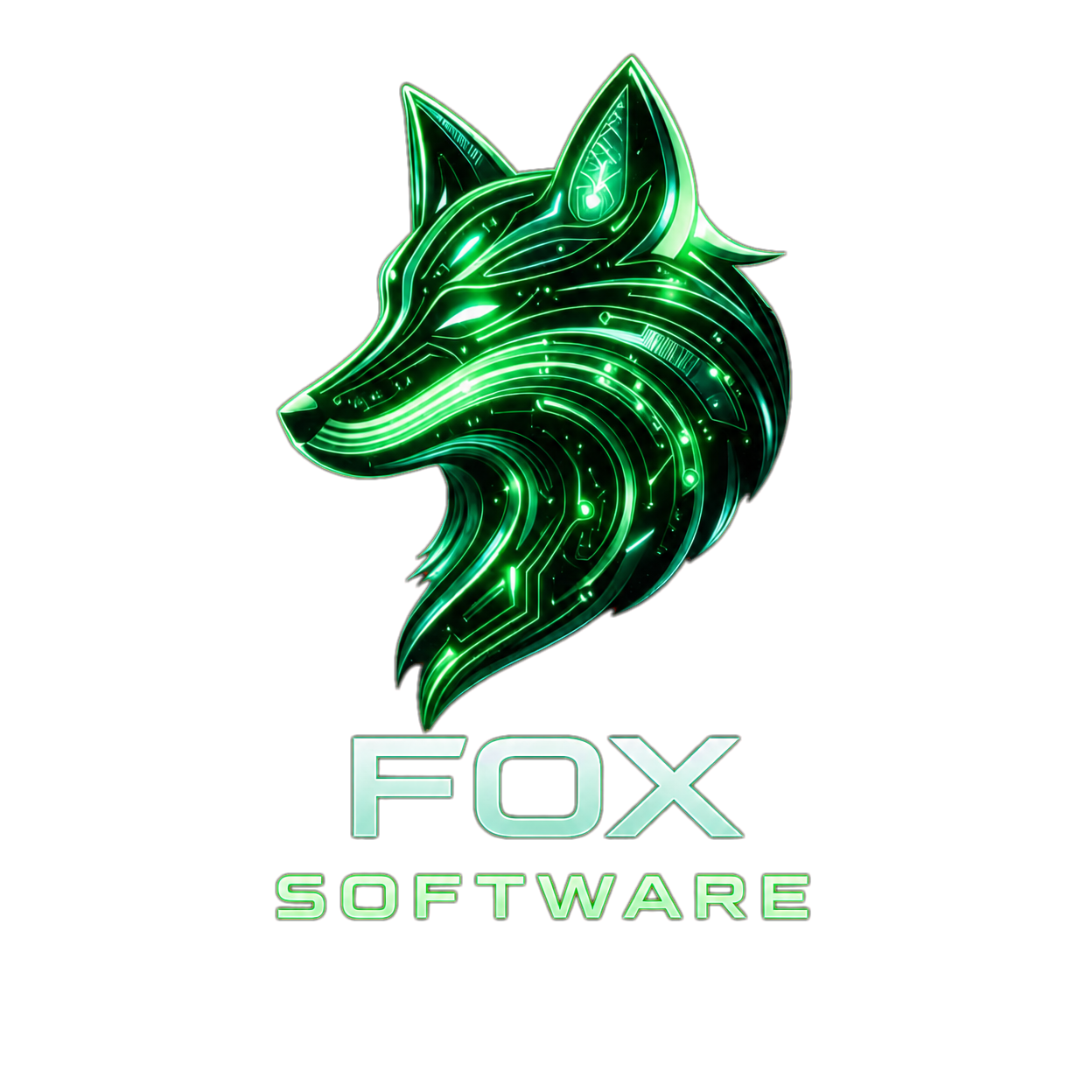 Fox Software